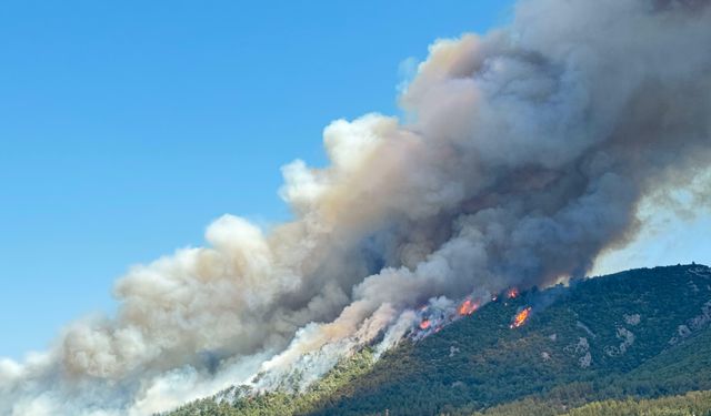 Manisa'nın neronu tutuklandı!