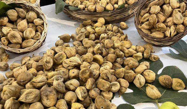 Aydın'da sezonun ilk kuru inciri 800 liradan satıldı