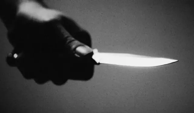 İzmir'deki "psikopat evlat" dehşetinin detayları: Ailecek gezmeye gitmeye sinirlenmiş!