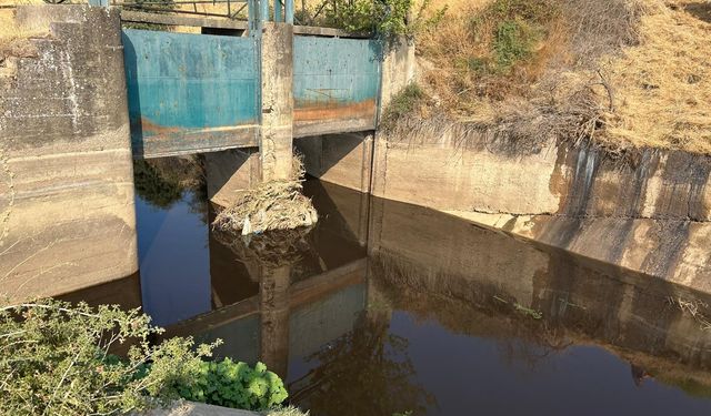 Manisa Büyükşehir, doğa için nöbette