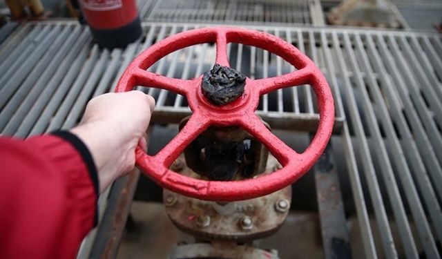 OPEC'in ham petrol üretimi temmuzda arttı