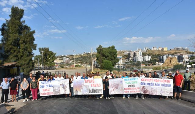 AK Parti'den Tugay'a 'Harmandalı' çağrısı: Haykırışlara kulak verin!