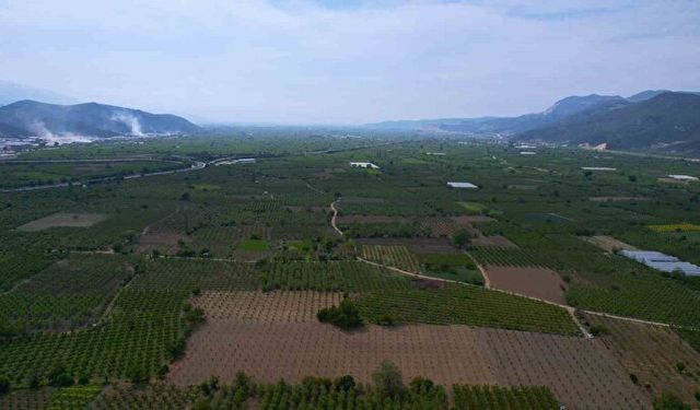 İşin uzmanı, o uygulamayı değerlendirdi: Ekilmiyorsa sebebi vardır!