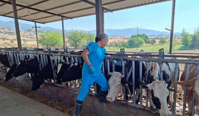 Eski aşıya yeni etiket yapıştırıldı iddiası