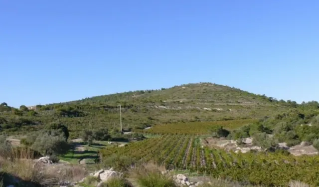 Hem tarım arazisi hem de SİT alanı… Çalık'ın GES'ine onay!