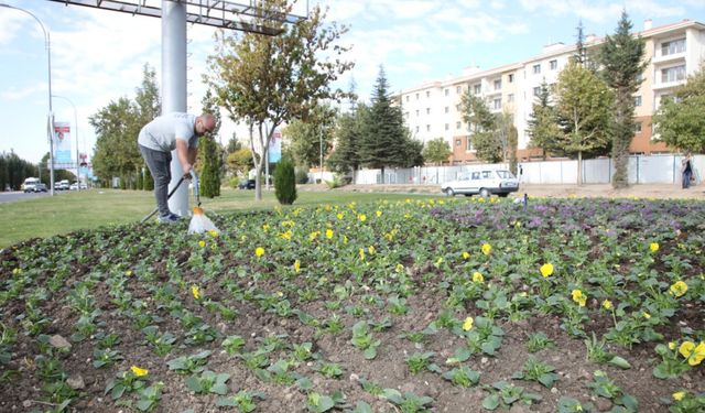 Kooperatif başkanı Şen: Belediyeler için çiçek ektik, borçlu olduk!