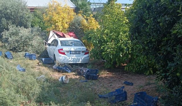 Otomobil zeytin toplayan işçilere çarptı: 1 ölü, 3 yaralı