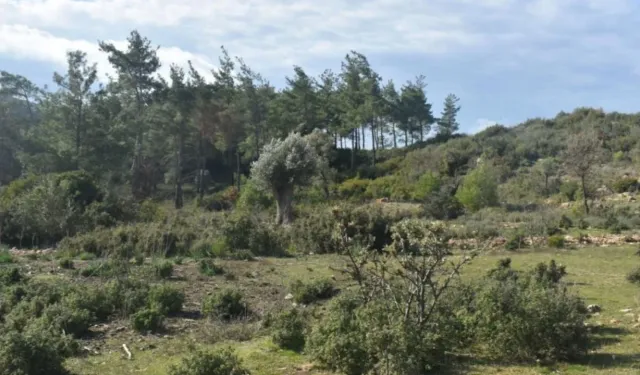 İzmir'in içme suyunda sevindiren gelişme!