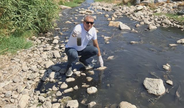 Gediz için detaylı rapor: "Menemen'de cinayet var"