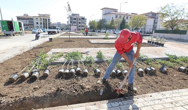 Pati Park’ta sona doğru