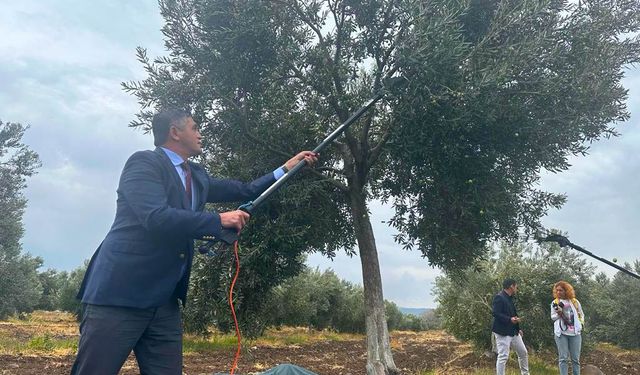 4. Zeytin Hasat Şenliği'ne geri sayım!