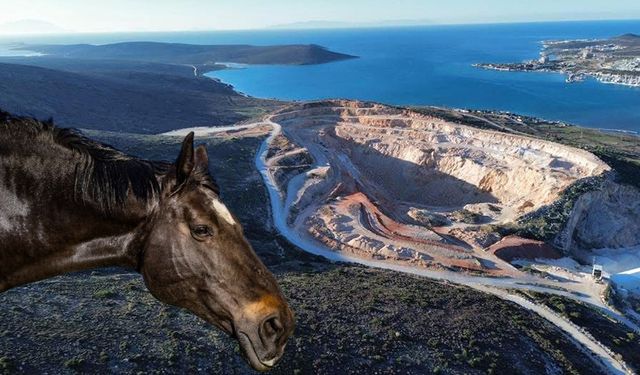 Alaçatı'nın ucubesine dört nala itiraz: "Atlarım toz içinde"