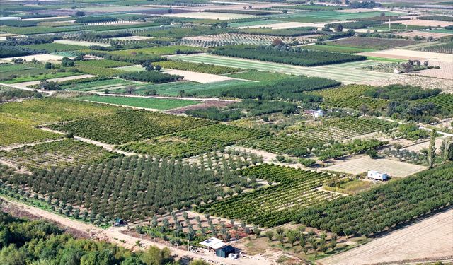 Ekim yağmurları üreticinin yüzünü güldürdü