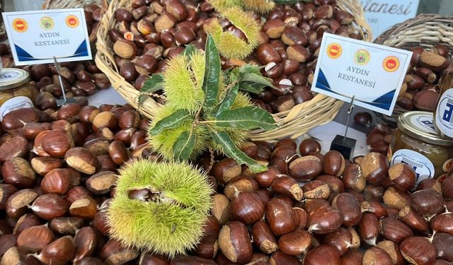 Aydın'da sezonun ilk kestanesi 550 liradan alındı