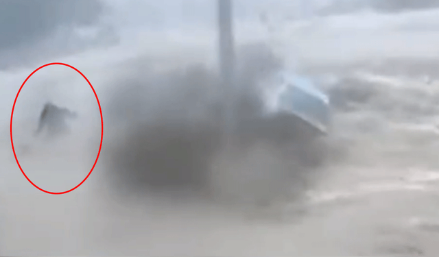 Bülent Kaptanoğlu'nun sele kapıldığı anlar!