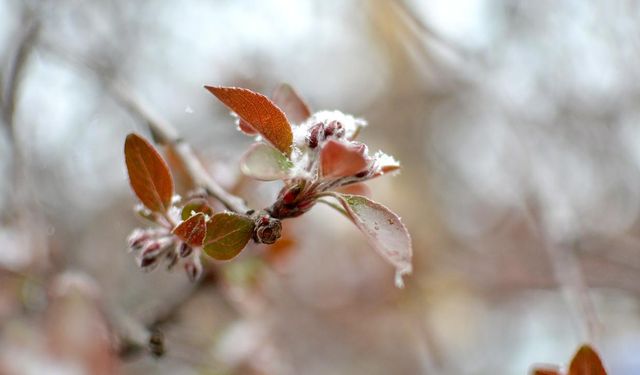 Meteoroloji'den İç Anadolu'ya 'don' uyarısı