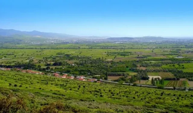 Tarımda el fatiha: "Menemen’de kuyu sularına deniz suyu bulaştı"