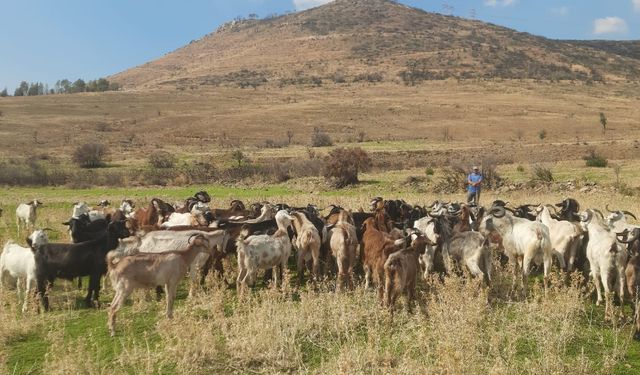 Karşıyaka’nın tek köyünün merası mezarlık oluyor… ‘Bizi öldürecekler!’