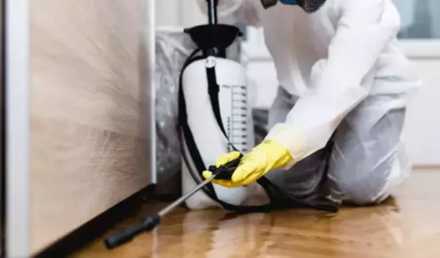 Sessiz katil 'alüminyum fosfit': Duvardan dahi geçebilir!