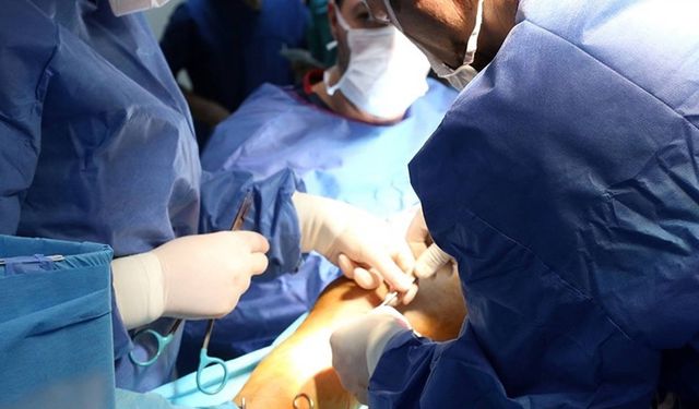 Organları çatlatmadan dondurmanın yolu bulundu