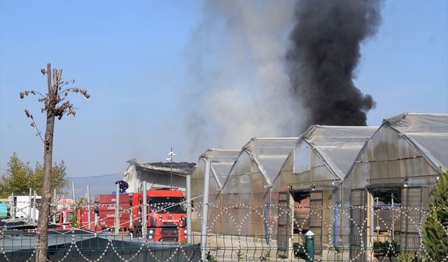 Serada korkutan yangın!