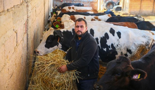 4 inekle hayvancılığa başladı... Kendi çiftliğini kurdu!