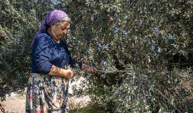 Bornova'dan üreticiye büyük destek
