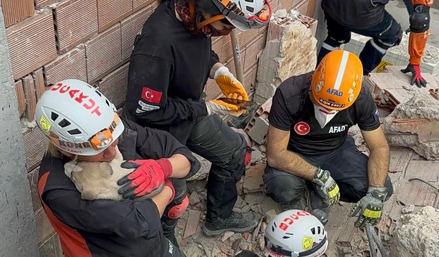 BUCAKUT’tan yavru köpek operasyonu