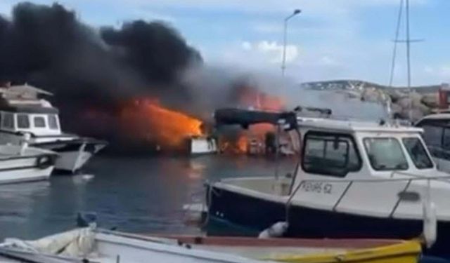 Barınakta korku dolu anlar... 7 tekne küle döndü!