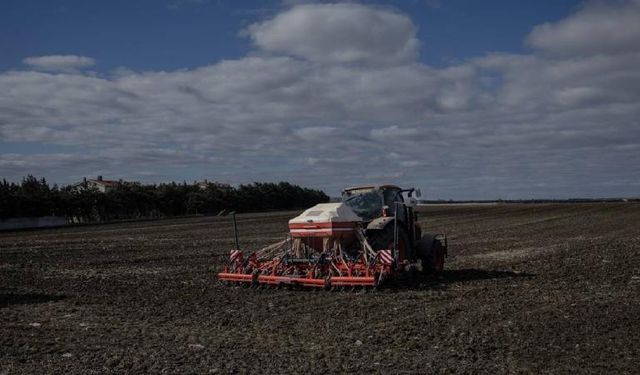 Tarımsal destek ödemeleri hesaplarda