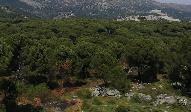 Kozak'a dinamite Bakanlık onayı!