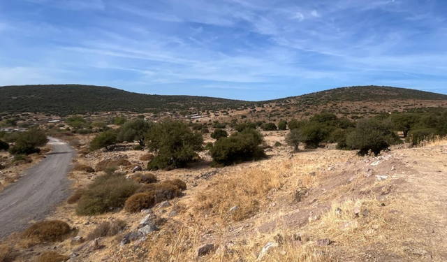 ÇED süreci başlatıldı... 'Orman' alanına TOKİ!