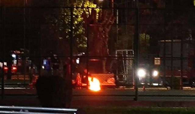 Ağaçlar sökülerek ateşe verildi... Başkan Önal'dan büyük tepki geldi!