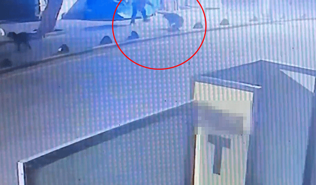 Emekli astsubaydan köpeğe ateş!