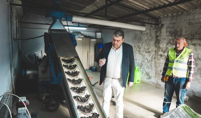 Seferihisar Belediyesi Zeytinyağı Fabrikası üreticiye can olmaya devam ediyor
