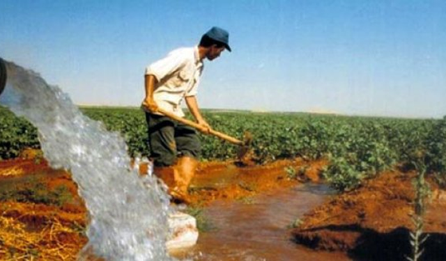 'Tek seferlik su’ kararına sert tepki: Büyük Menderes’te ürün kalmayacak!