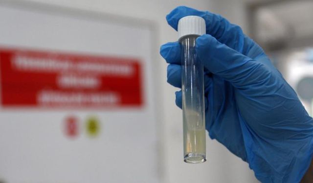 En ölümcül bulaşıcı hastalık 1,23 milyon can aldı