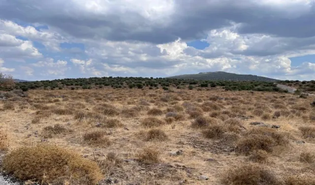 Önce teşvik sonra ÇED... Doğanlar Holding’in 9 milyarlık projesine onay!