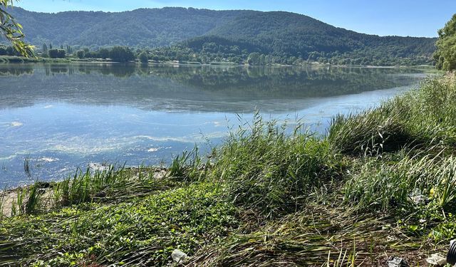 Kirlilik ile gündeme gelmişti... 'İzmir'in Abantı'na foseptik atığı iddiası!