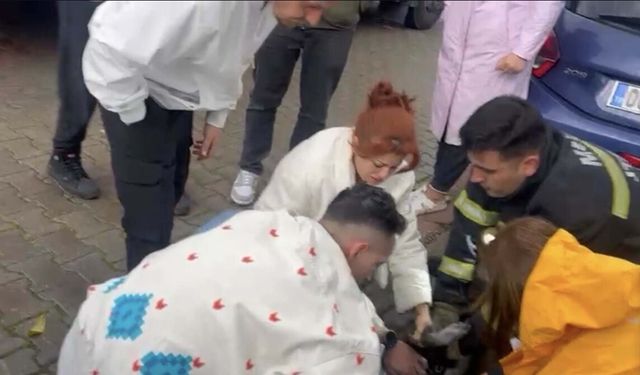 Yangında 2 köpekten biri öldü, diğeri kalp masajıyla yaşama döndürüldü