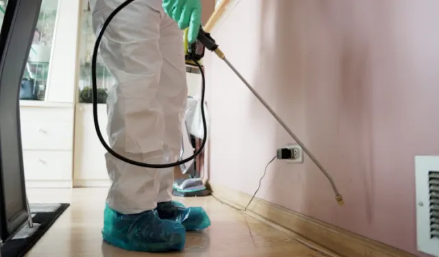 Alt komşu evini ilaçlattı... 5 çocuk hastanelik oldu