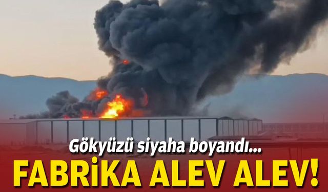 Gökyüzü siyaha boyandı... Fabrika alev alev!