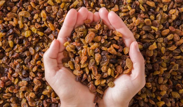 Türkiye, kuru üzüm ihracatında lider