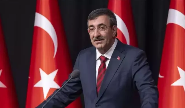 Cumhurbaşkanı Yardımcısı Yılmaz yarın Azerbaycan'da