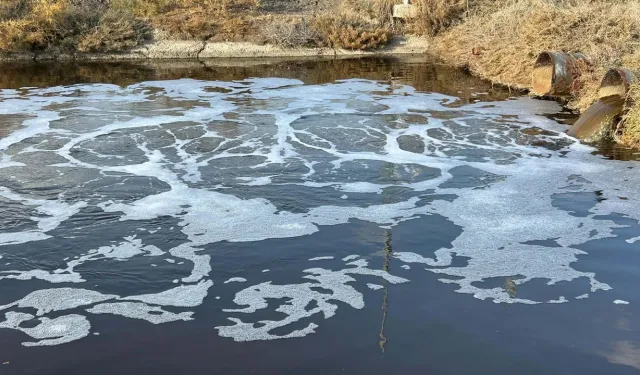 “Zehir deltası”ndan gözlemler… Kirli suyun yarısı tarıma, yarısı flamingolara!