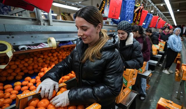 Mandalinada rekor ihracat!