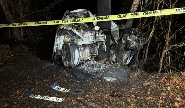 Korkunç kaza: Sürücü yanarak can verdi!