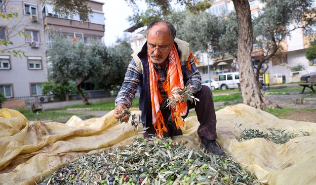 Buca’da dayanışma için hasat zamanı