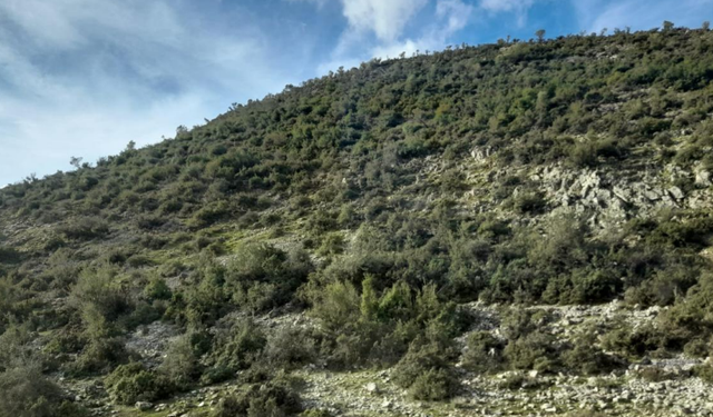 Metropolis diken üstünde... Belçikalı şirketten üçüncü başvuru!