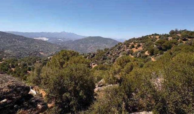 Latmos'u küle boğacaklar!